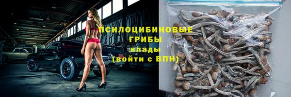 дмт Абаза