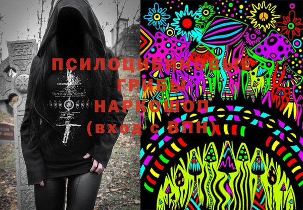 дмт Абаза