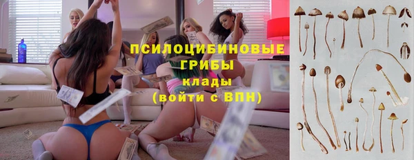 дмт Абаза