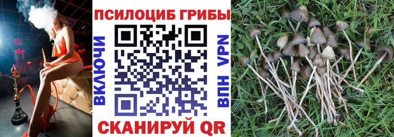 Галлюциногенные грибы GOLDEN TEACHER  Саратов 